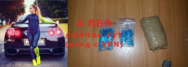 круглые Белокуриха