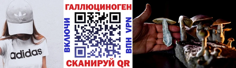 блэк спрут tor  площадка состав  Галлюциногенные грибы прущие грибы  наркошоп  Кяхта 