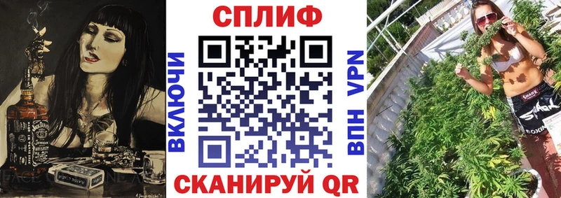 как найти закладки  Кяхта  Бошки марихуана OG Kush 